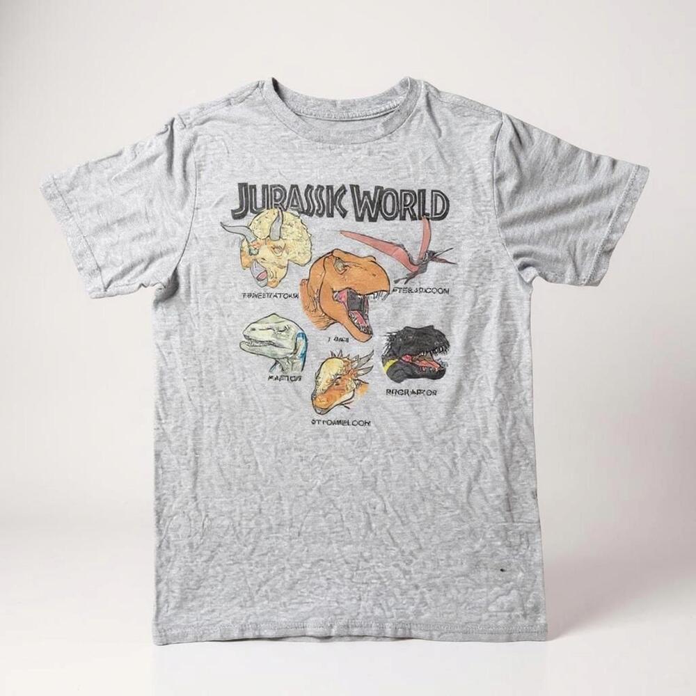 Jurassic Park Boys Gray Graphic T-Shirt Size XL Extra Large Dinosaur Design Tee